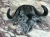 A1-37976-296.webp