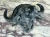 A1-37976-296          1.webp