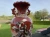 3A1-40933-709.webp