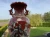 4A1-40933-709.webp